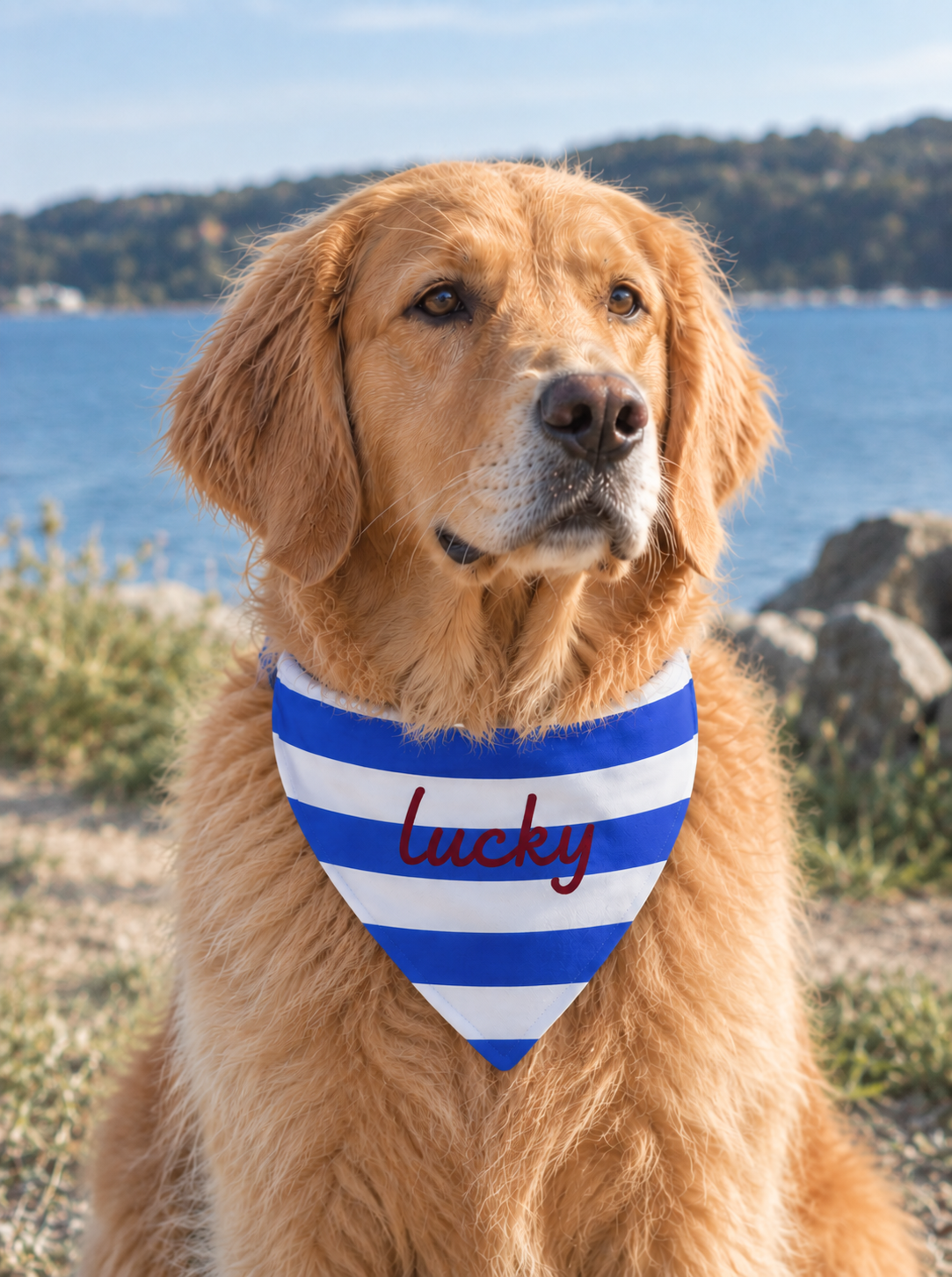Blue Striped Pet Bandana with Custom Text