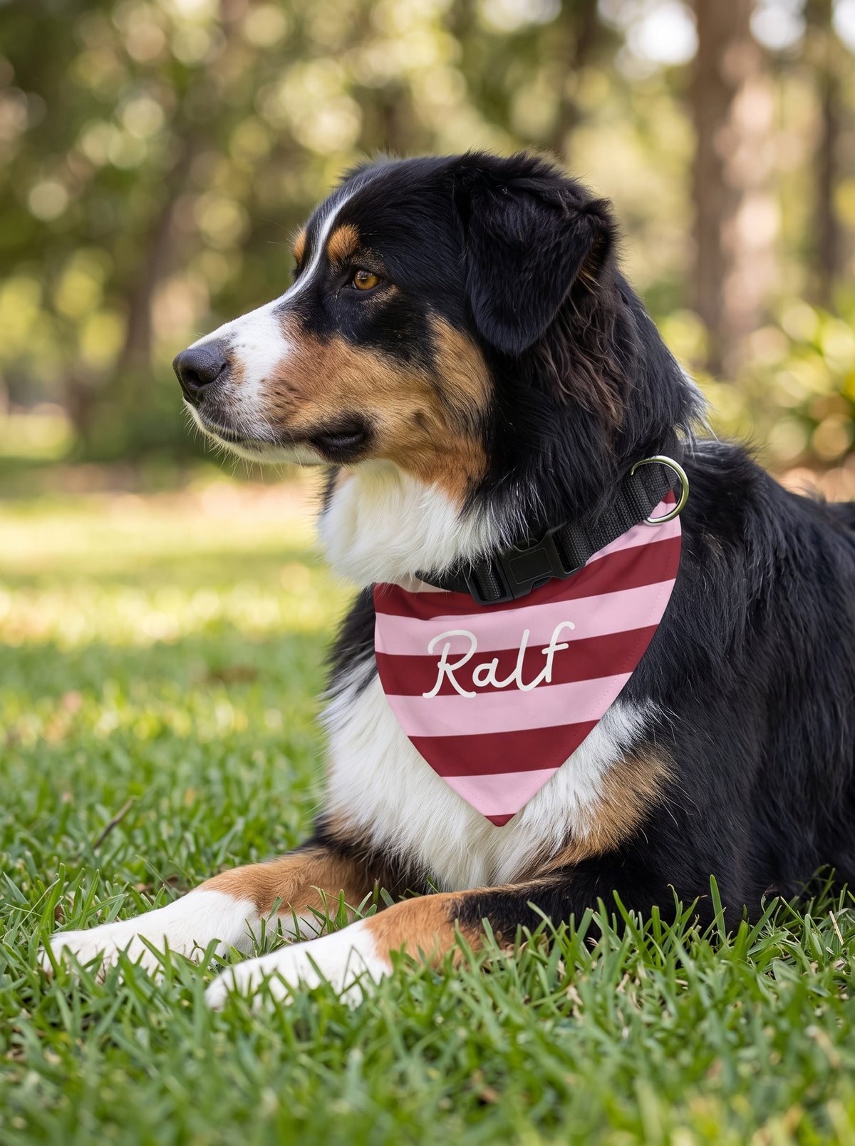 Red Striped Pet Bandana with Custom Text